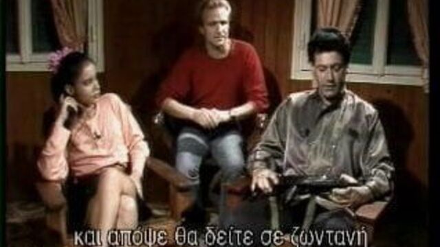 Solange Hop - Vietnam Store