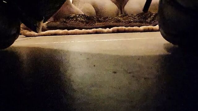 Jutrnje jebanje svastike i svrsavanje u nju.