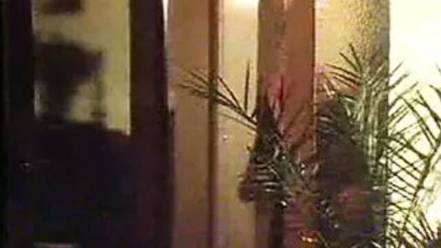 Netzstrumpfe (Lola Film)