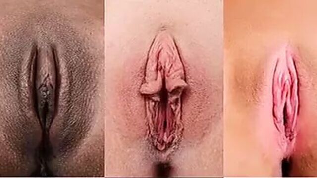 Types of pussy