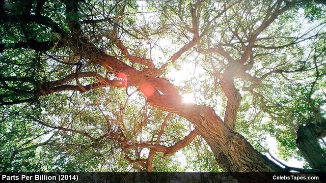 Blonde celebrity Teresa Palmer naked and romantic sex video