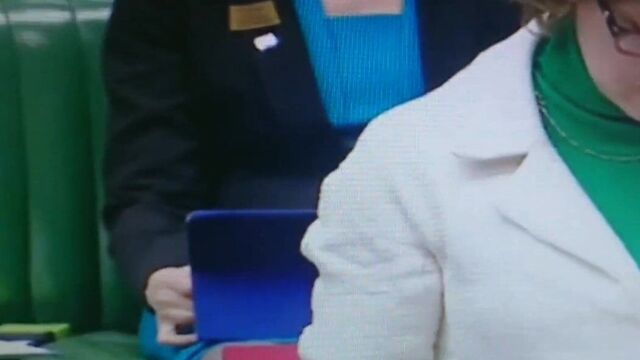 Crossing nylon legs in House of commens