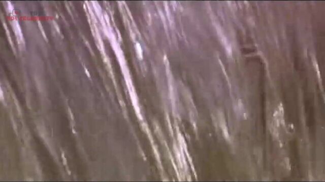 Estella Warren - Her Minor Thing 2005