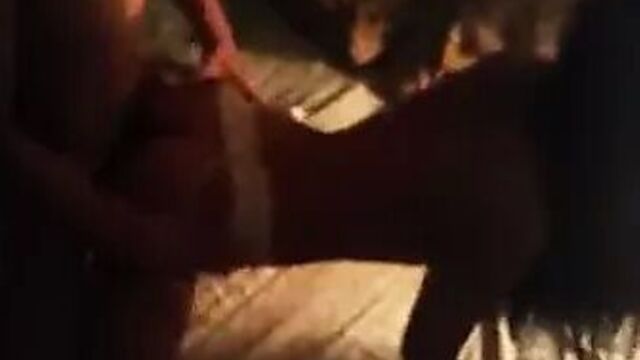 Asian kazakh sexwife with young russian boy hubby films sex