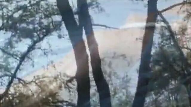 Vintage Erotic Tits 47