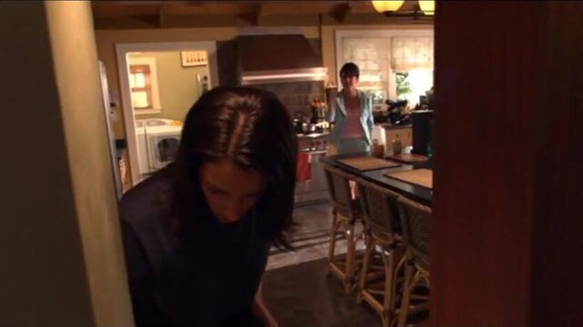 Paget Brewster vs Lara Flynn Boyle - Huff s1e07