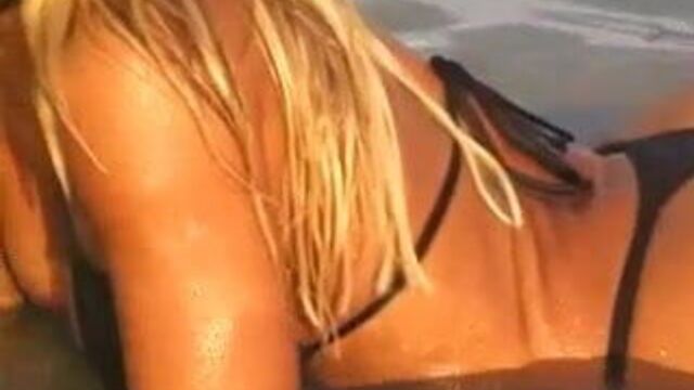 Torrie Wilson - Hardbodz On Location Hedonism II