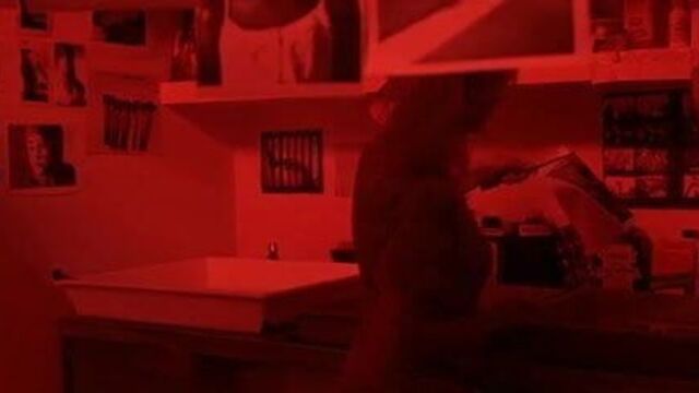 Penelope Cruz - Scarlett Johansson kissing