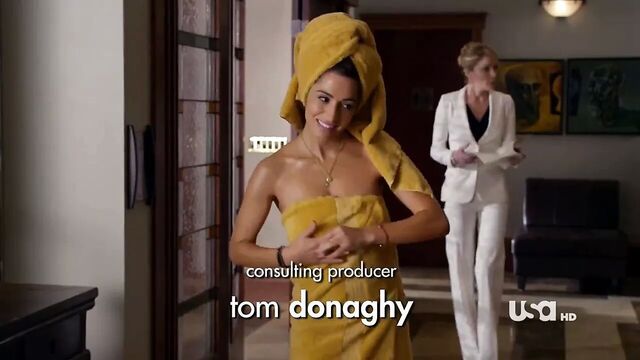 Sarah Shahi - Fairly Legal