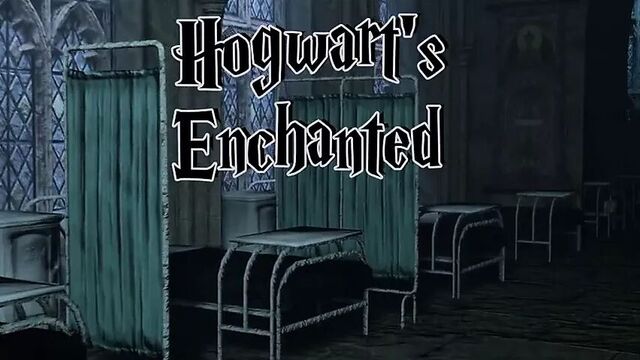 Harry Potter - 3D Game Porn