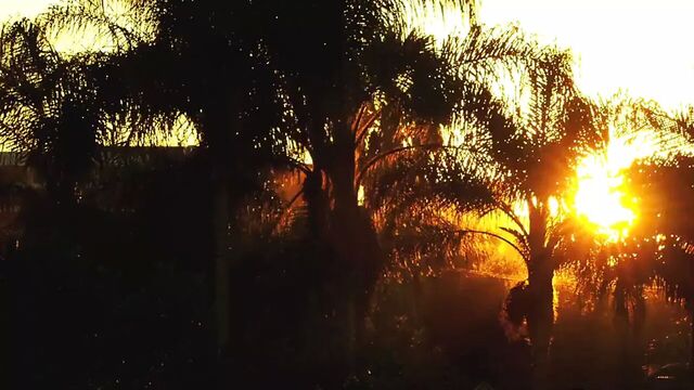 Instagram amateur hooks up with her sister's bbc affair big