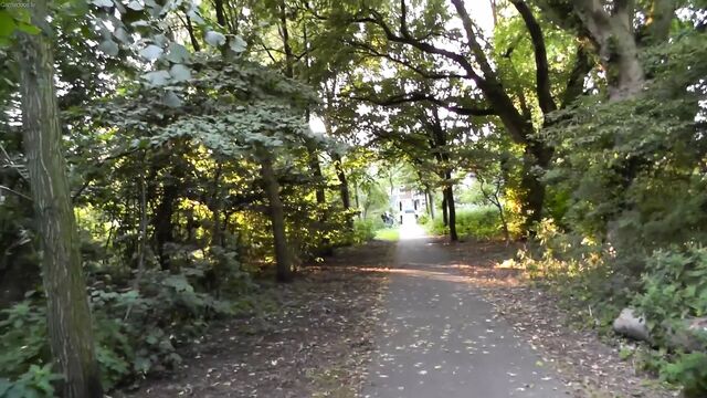 Super Risky POV Public Facial