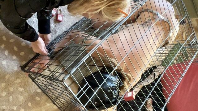 Locked inside a dog cage AND chastity cage, femdom fisting and foot plus dildos of course
