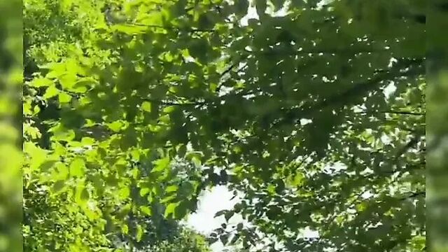 Chinese nude in public compilation