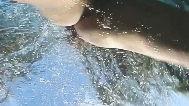 Swimming with Autumn Jade and her huge tits, upscaled to 4K