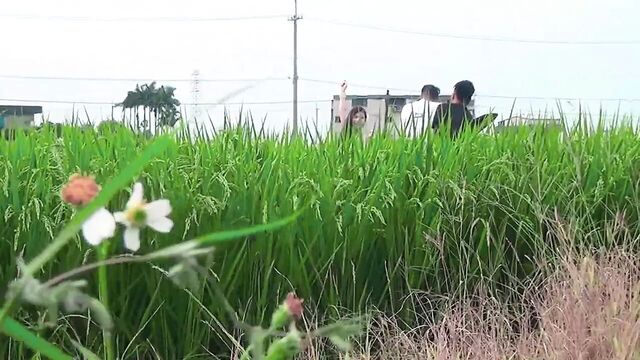 ILi Cheng Stay With Me