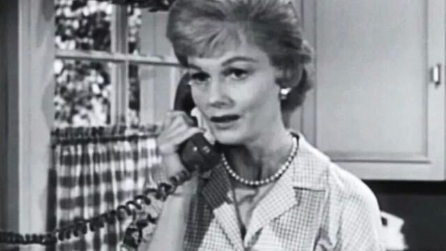 LEAVE IT TO JINE CLEAVER'S BEAVER!